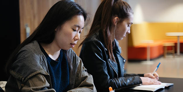 Business students studying