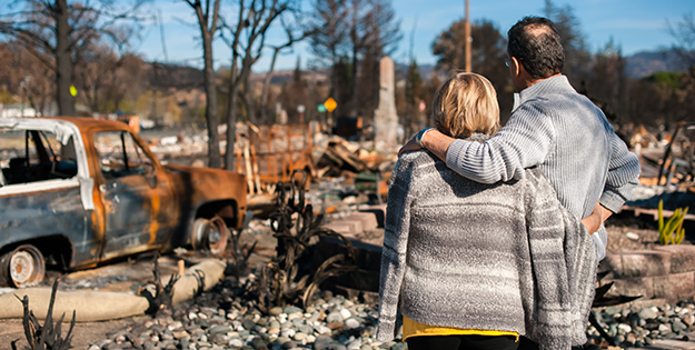 bushfires
