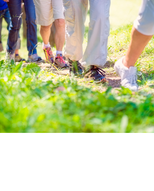 A line of people walking through nature, feet only.
