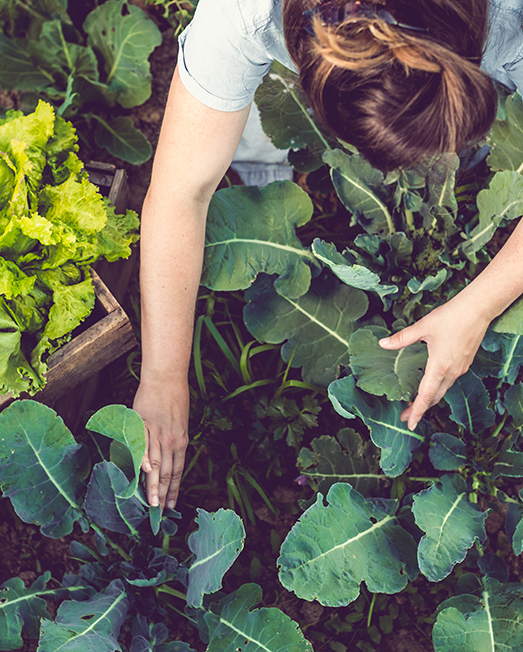 Being green in quarantine