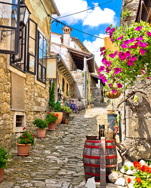 A cobbled path in a European city