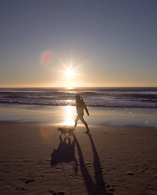 Morning walks sharpen the mind