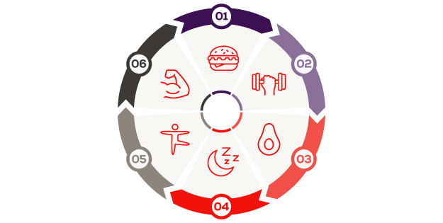 The athletes food infographic - wheel