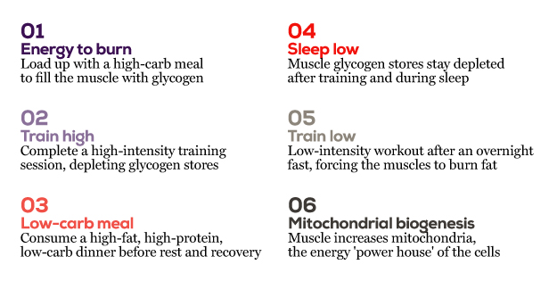 The athlete's food infographic - words