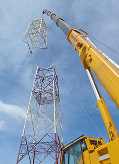 Cranes